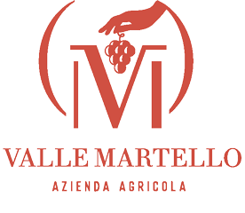 logo-valle-martello-rosso240